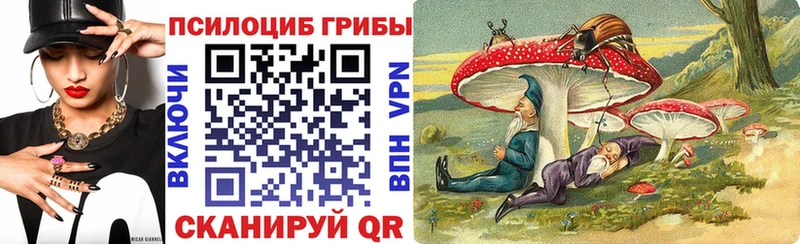 Галлюциногенные грибы Psilocybe  Зверево 
