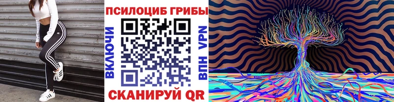 Псилоцибиновые грибы Psilocybine cubensis Зверево